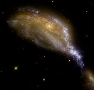 A yellow-brown galaxy with bands of pink, white, and blue stars and brown dust is being stretched to the lower half of the image by an orange-y galaxy mostly out of frame. The clump of stars being stretched towards it appears purple-white